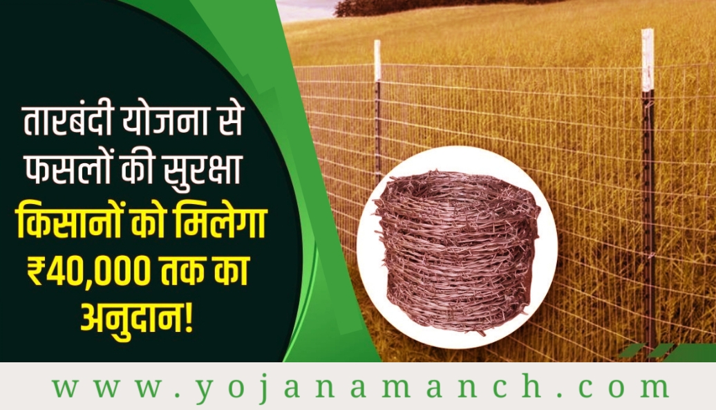 खेत तारबंदी योजना 2026: आवारा पशुओं से फसल बचाने के लिए पाएं ₹40,000 की सब्सिडी, ऑनलाइन आवेदन करें