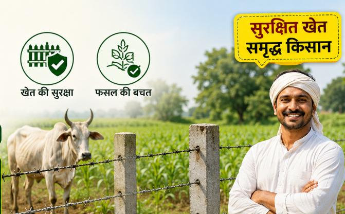 Khet Tarbandi Yojana 2026: आवारा पशुओं से फसल बचाने के लिए खेत की तारबंदी पर पाएं ₹40,000 से ₹48,000 तक की बंपर सब्सिडी, जानें ऑनलाइन आवेदन का पूरा तरीका